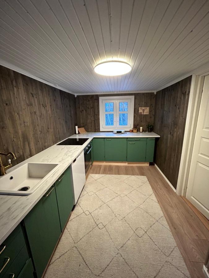 הוילה Stange Beautiful Cabin By Mjosa. מראה חיצוני תמונה