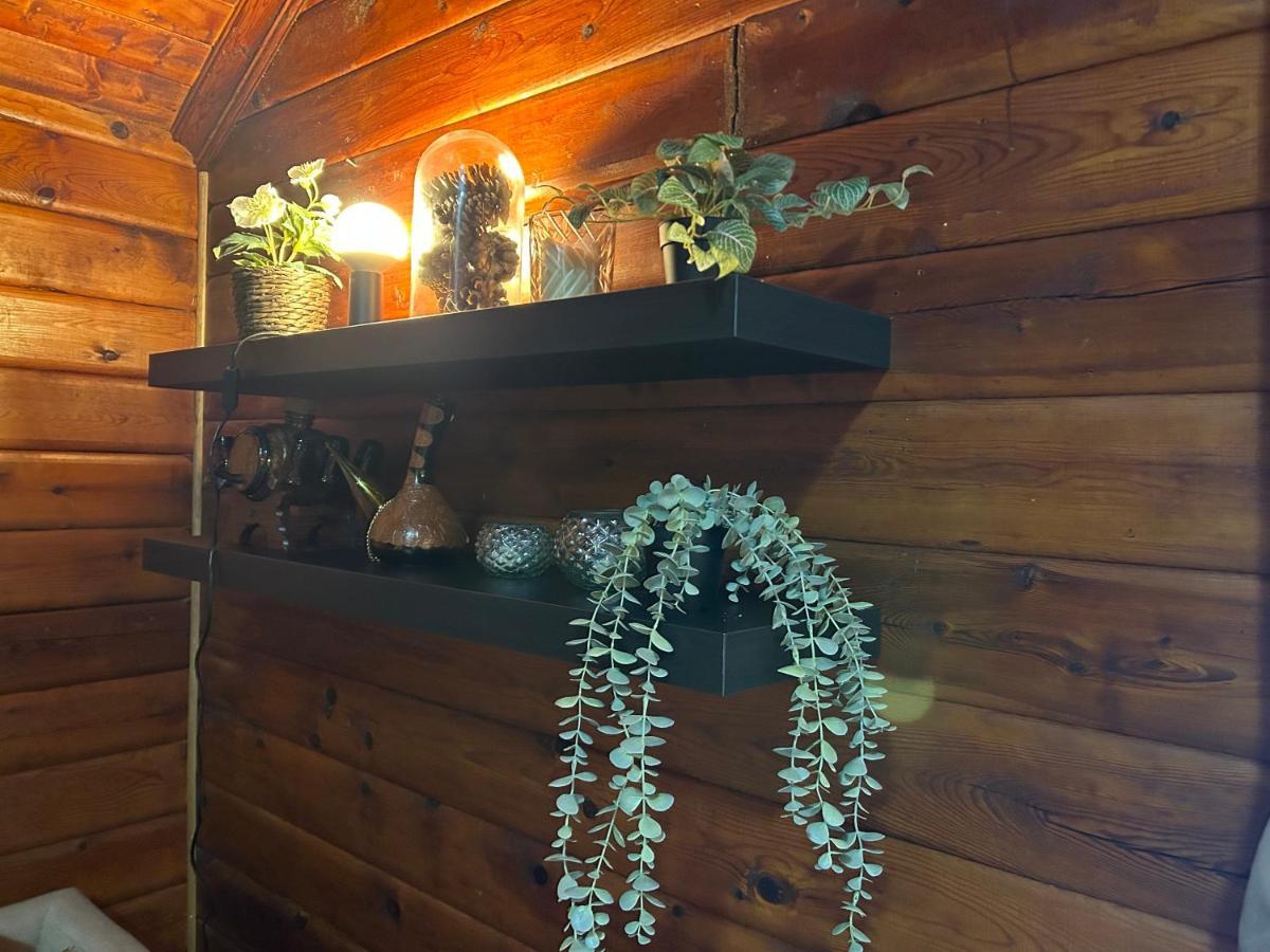 הוילה Stange Beautiful Cabin By Mjosa. מראה חיצוני תמונה